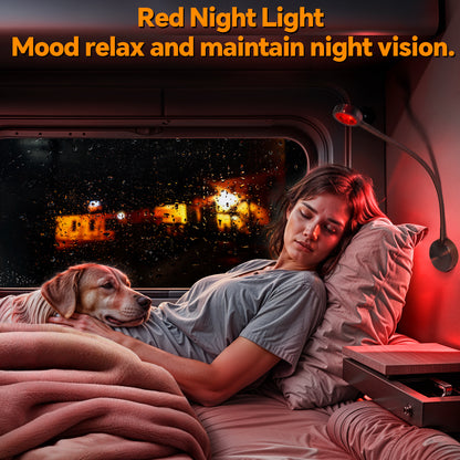 Silver Aluminum 12V Reading Light w/ Head Switch & USB-C Port