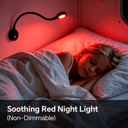 12V Flexible Reading Light 4000K & Red Light, Quick USB C Charger